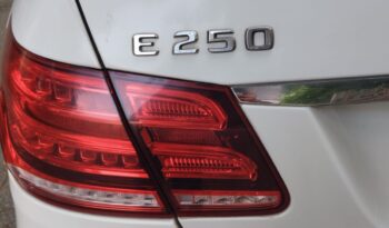 MERCEDES-BENZ E250-CDI AVANTGARDE full