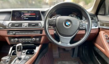 BMW 520i LUXURY LINE full